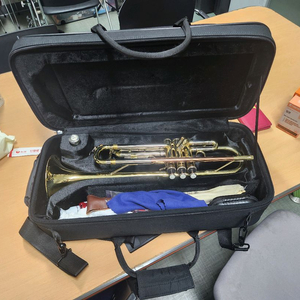 알버트웨버 입문용 트럼펫 양품 AWTP-200