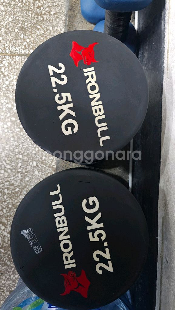 이이언불 TPU 우레탄덤벨(아령)22.5KG 두개--0