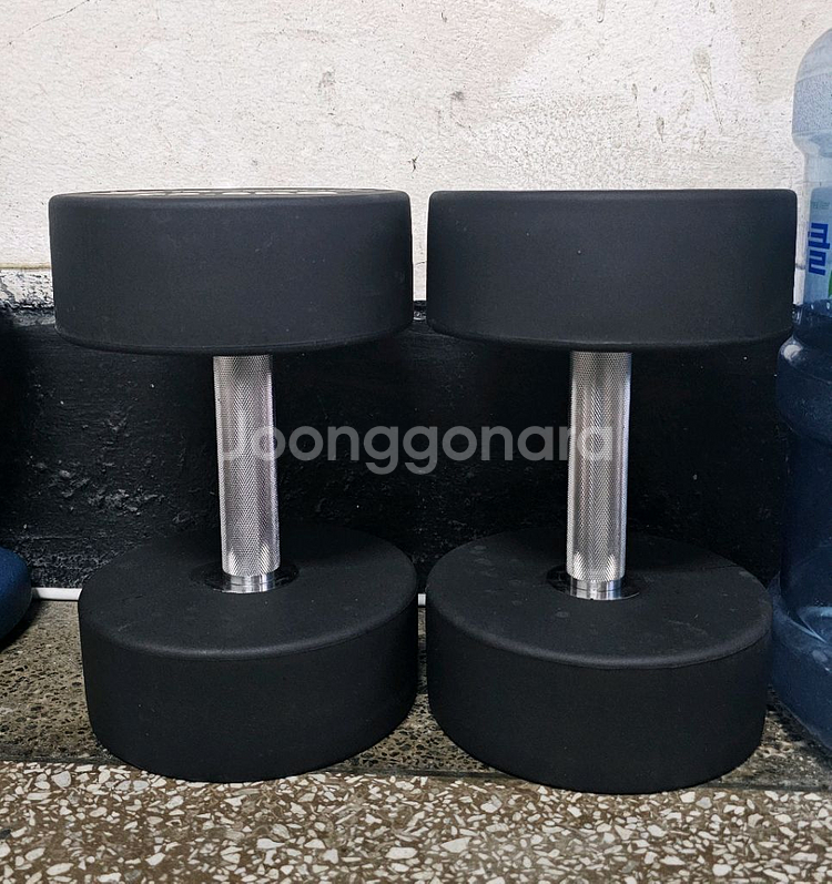 이이언불 TPU 우레탄덤벨(아령)22.5KG 두개--1