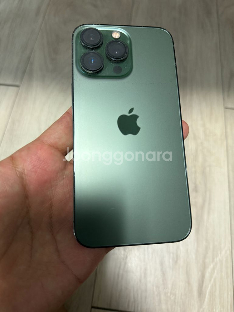 아이폰 13 pro 256 알파인그린--10