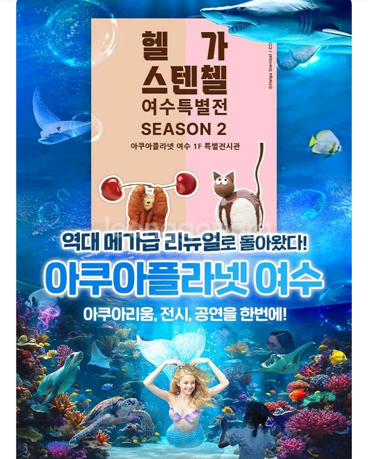 제주아쿠아플라넷 31500 여수아쿠아플라넷 24500--1