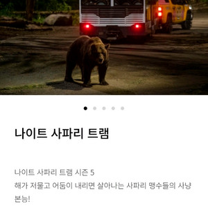에버랜드 나이트사파리 10월