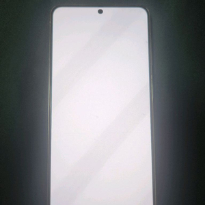 갤럭시s21
