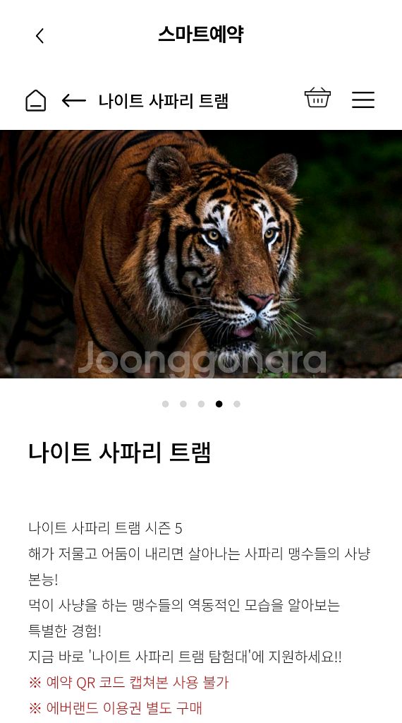 에버랜드 나이트사파리 10월--0