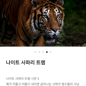 에버랜드 나이트사파리 10월