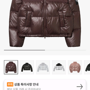 노스페이스 화이트라벨 눕시 브라운