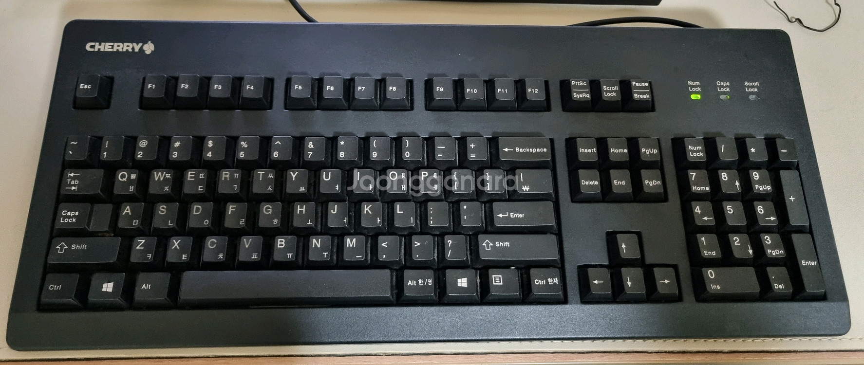 체리 MX3000 기계식 키보드 판매--0