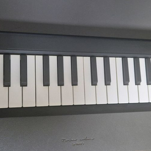 KORG microKEY37 마스터키보드