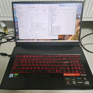 i7 9750H GTX1650ti 게이밍 노트북 17인