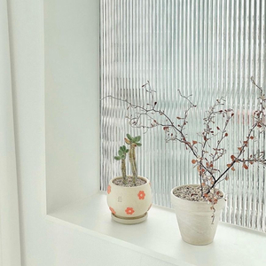 얼롱사이드 데이지팟