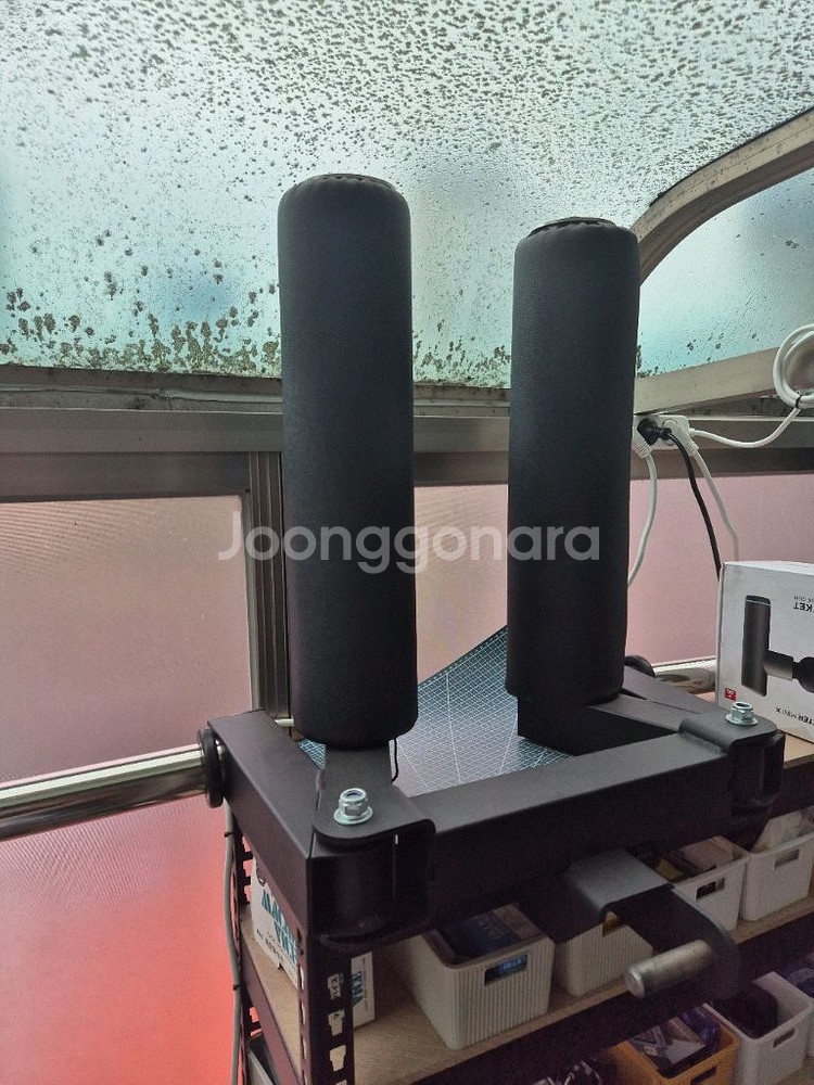 와일든 사레레 옵션--0