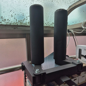 와일든 사레레 옵션