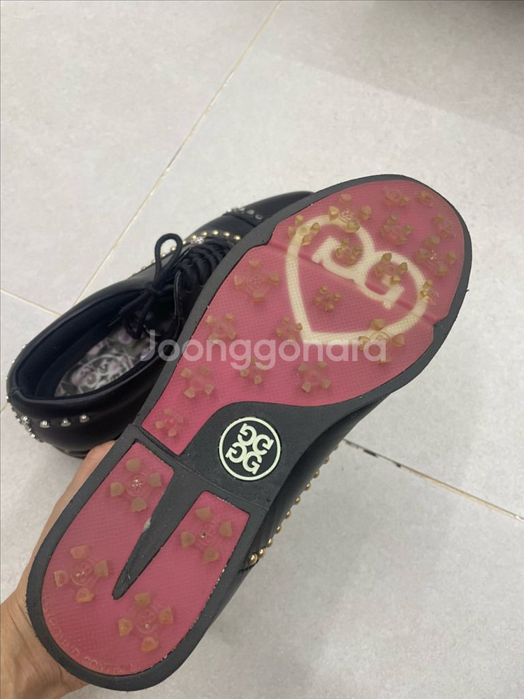 정품 지포어 여성 웰트 스터드 갤리벤터 골프화--2