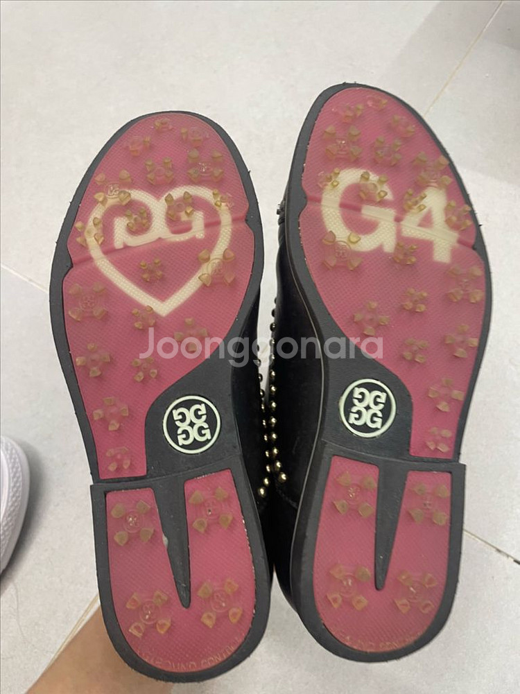 정품 지포어 여성 웰트 스터드 갤리벤터 골프화--3