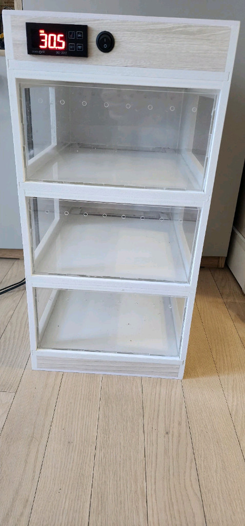 파충류사육장 도마뱀집 렉사--1