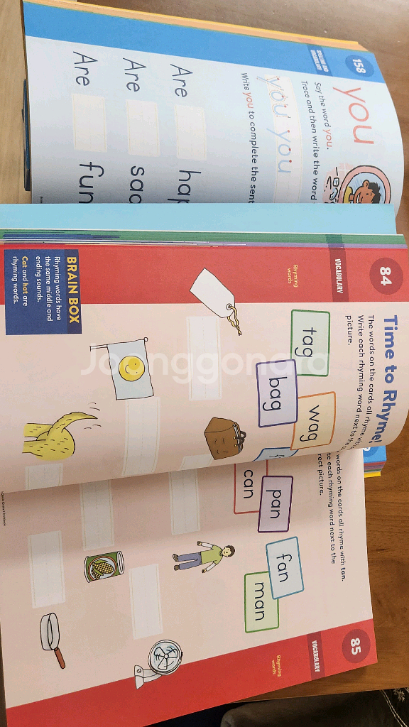 브레인퀘스트--1