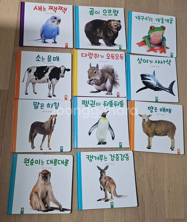 키즈엠 동물 그림책 유아책 11권 세트 새상품수준--0
