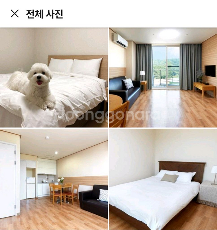 평창 휘닉스파크 리조트 팻룸--0