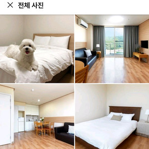 평창 휘닉스파크 리조트 팻룸