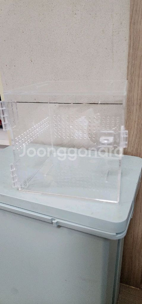 도마뱀사육장 파충류 사육장--0