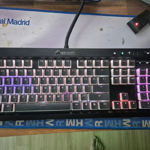 커세어 k70 lux rgb 적축(전용 푸딩 키캡 포함