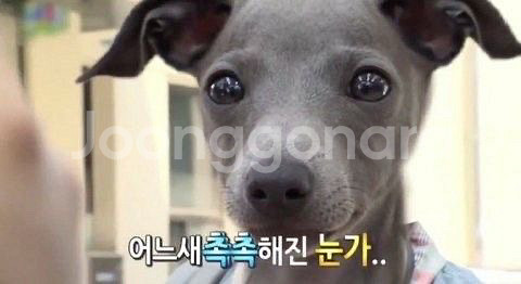 로스트아크 SS급 닉네임 판매 두글자--0