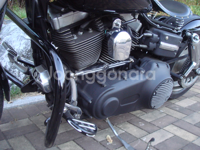 할리데이비슨 다이나 팻밥 2009년식--8