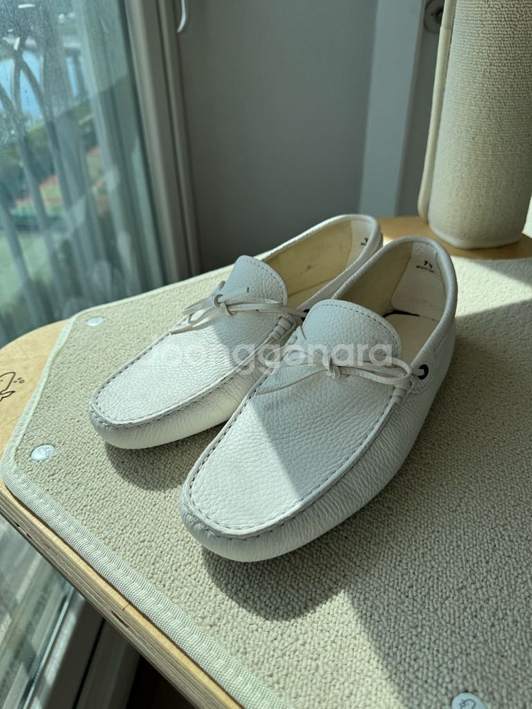 Tods 토즈 고미노 드라이빙 슈즈--1
