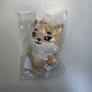 데이식스 데니멀즈 일본 MD 케 백참 (미개봉)