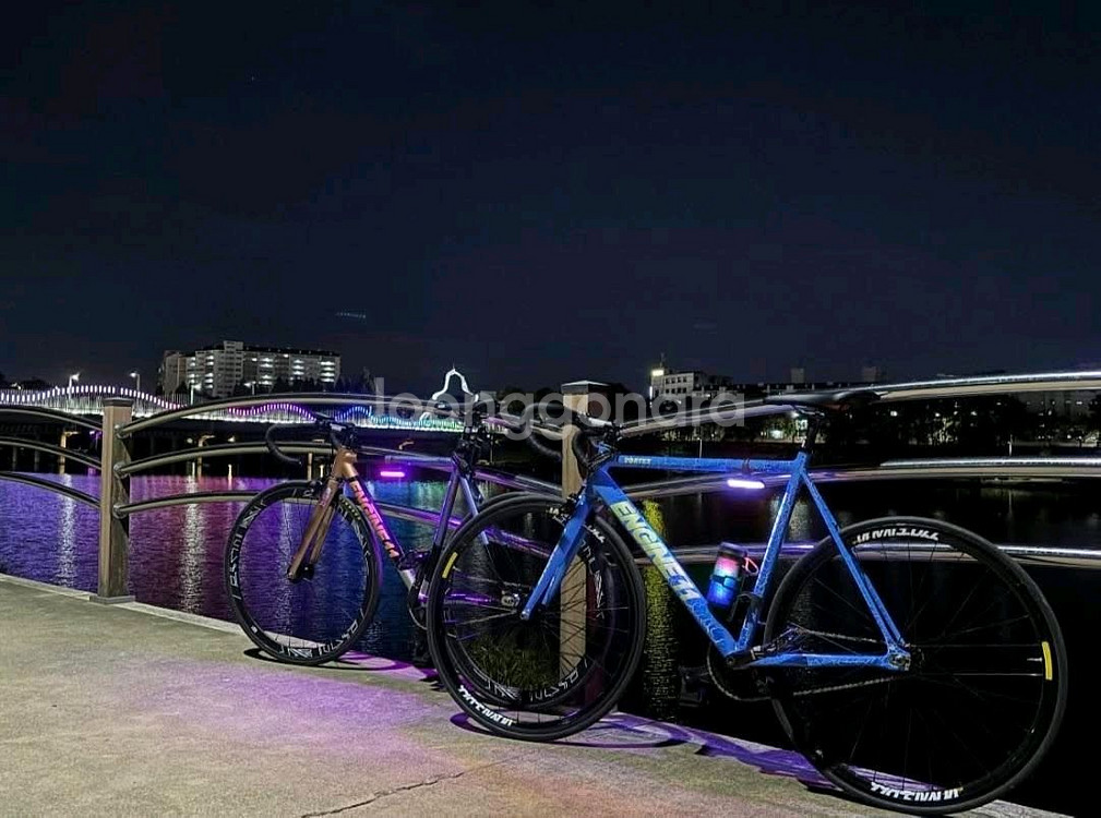 엔진11 볼텍스2024 라이트닝블루 무하자--0