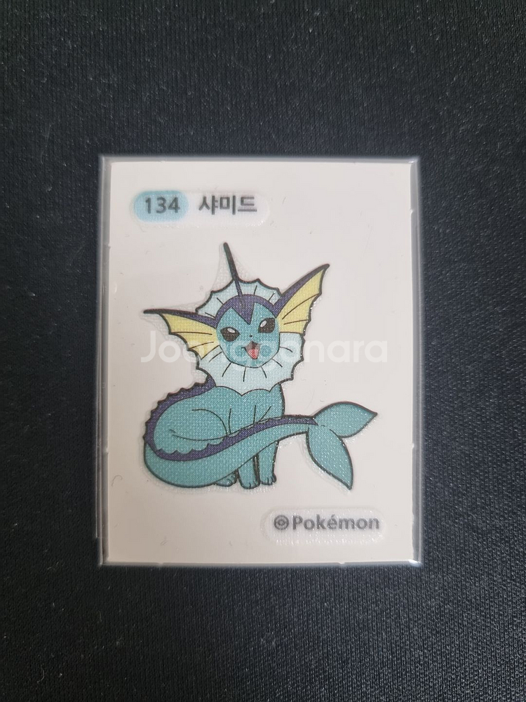 134 샤미드 띠부실--0