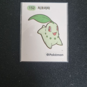 152 치코리타 띠부실