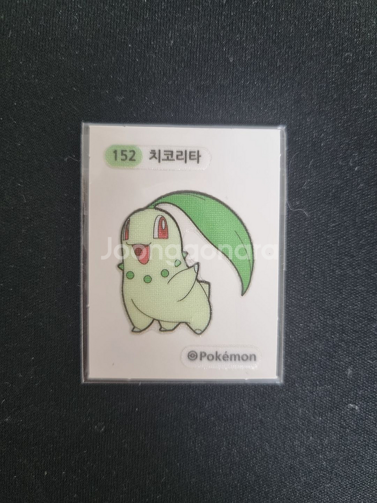 152 치코리타 띠부실--1