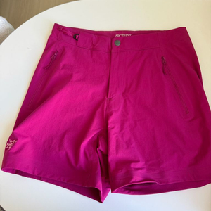 아크테릭스 감마 숏 팬츠 판매해요