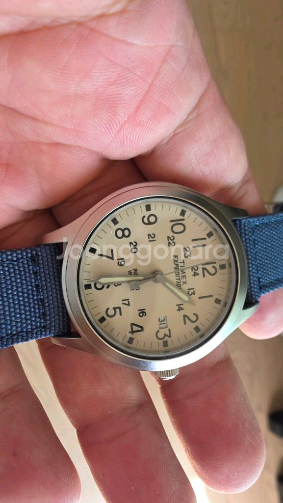 [가격인하] 타이맥스 익스페디션 36mm 블루나토--0