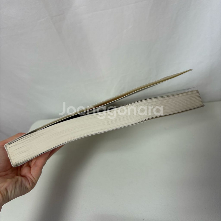 [해외서적]마놀로블라닉 일러스트 드로잉북(페이퍼백)--4