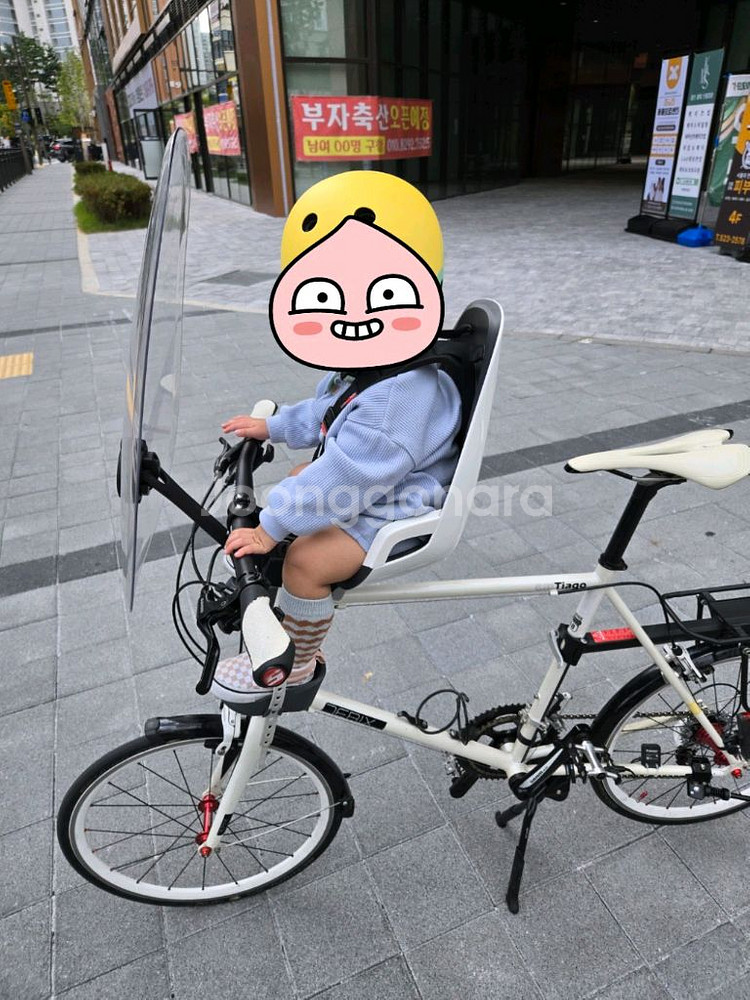 하막스/하맥스 옵저버 유아안장--3