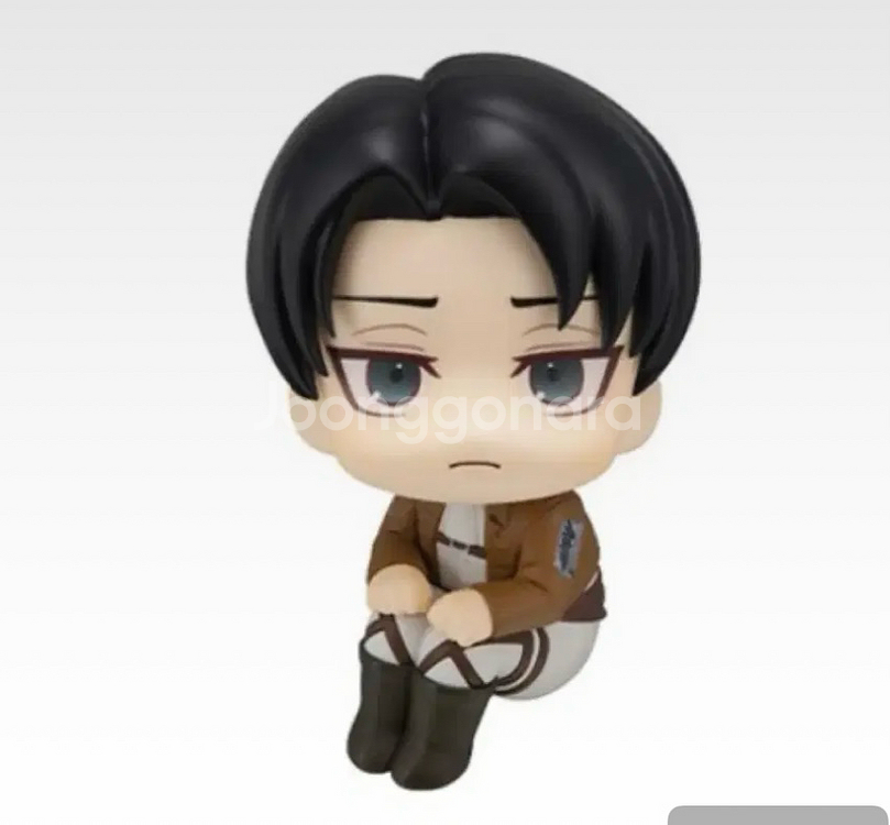 배송지변경) 리바이 룩업 진격의 거인 진격거--0