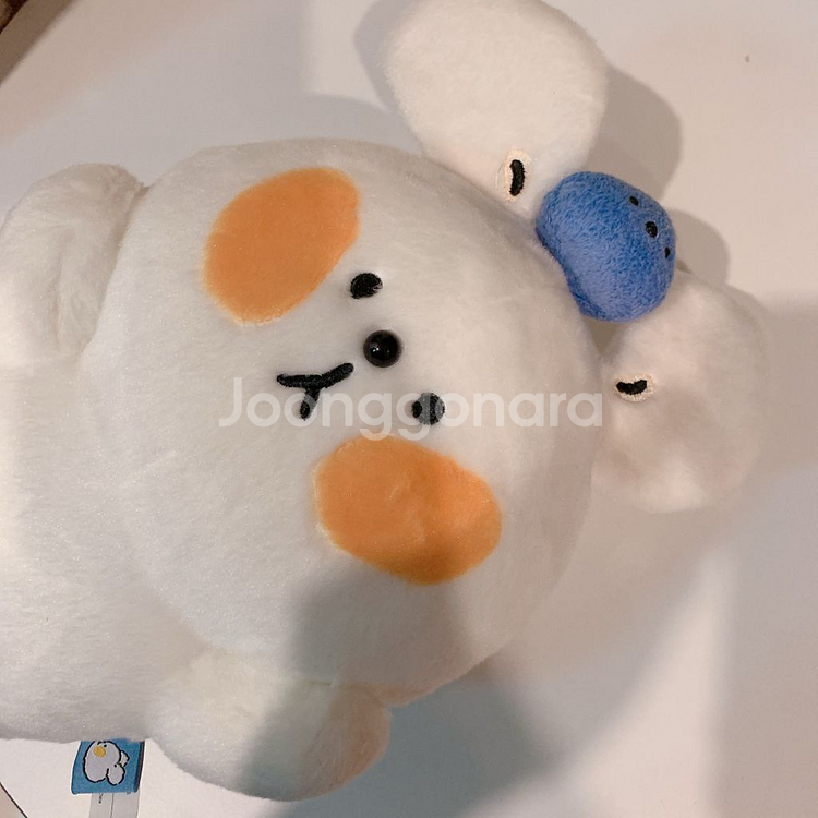 혀딻은 앙꼬 인형 혀땳은 앙꼬--2