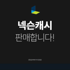 넥슨캐시 넥슨 캐쉬