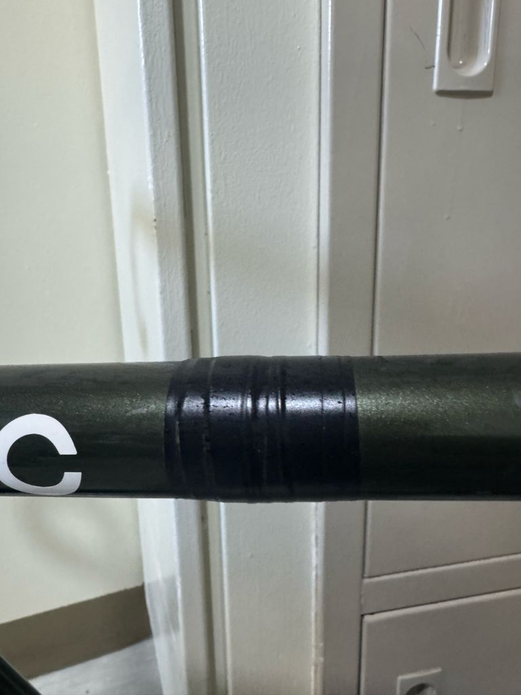 에콜로직스 랩소디 쌍88 팝니다 이미지