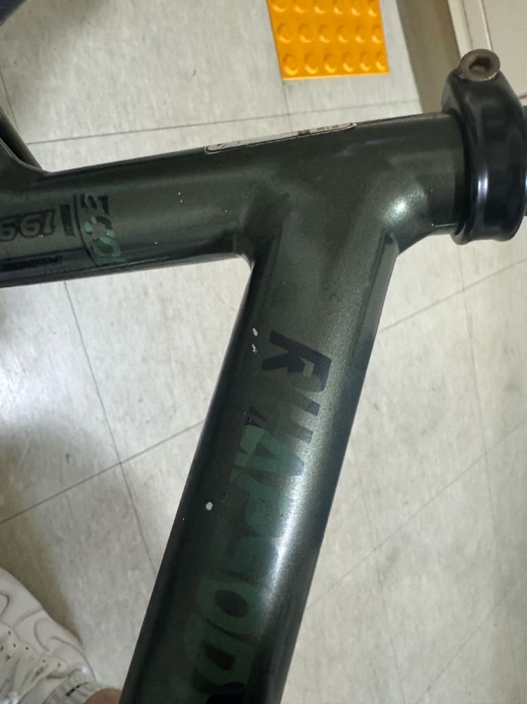 에콜로직스 랩소디 쌍88 팝니다 이미지