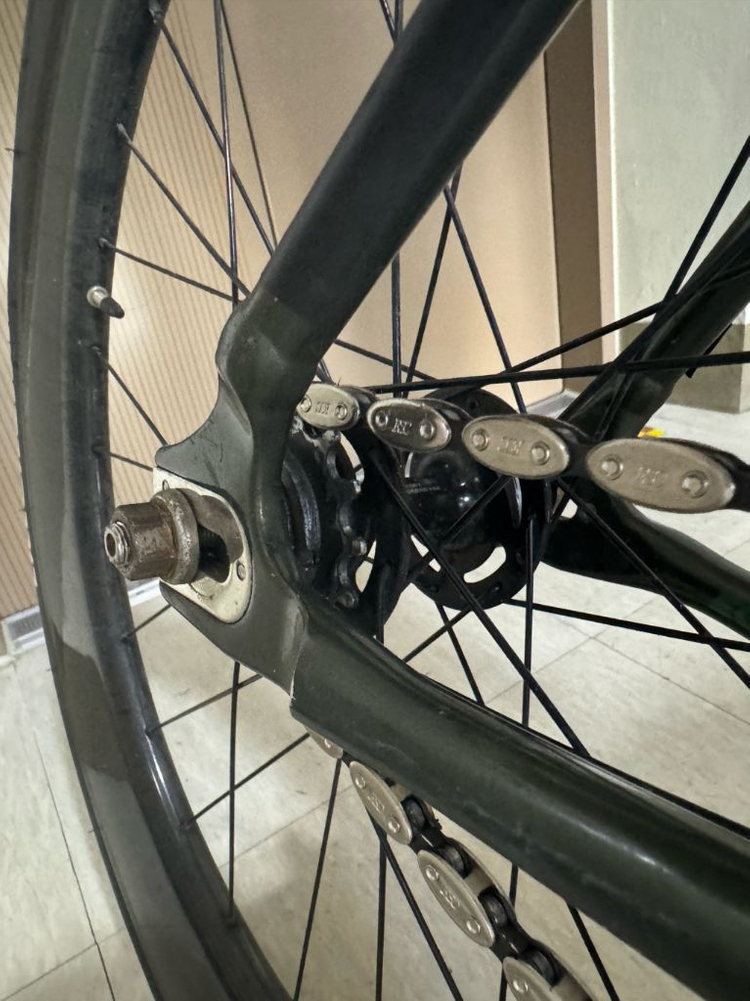 에콜로직스 랩소디 쌍88 팝니다 이미지