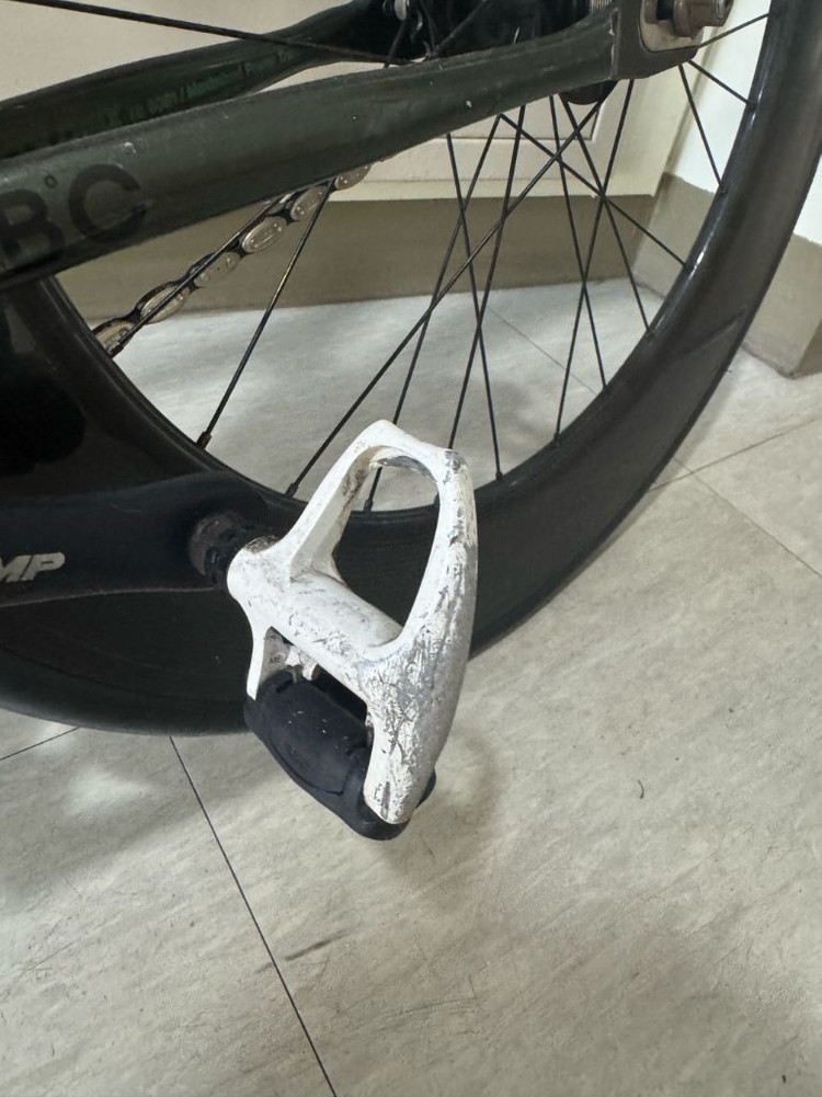 에콜로직스 랩소디 쌍88 팝니다 이미지