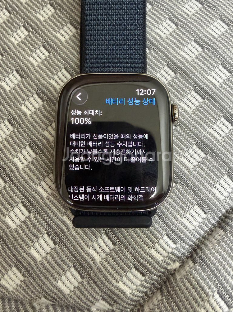 애플워치10 내추럴 티타늄 셀룰러 46mm 거의 새상품--0