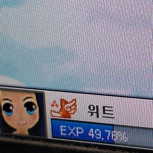 테일즈런너 닉네임 [위트] 판매