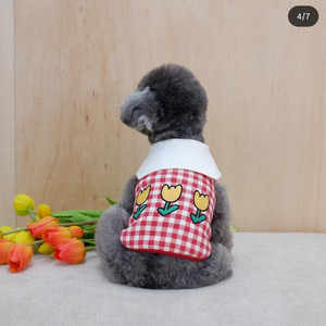 강아지 옷 M사이즈