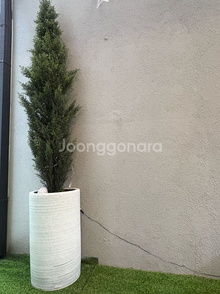 인조나무 3종 판매합니다--1