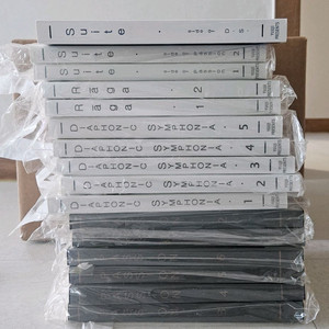 [판매완료] 리셋팅 레이디 소장본/패션 구소장본