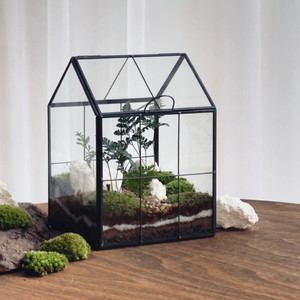 테라리움 유리하우스